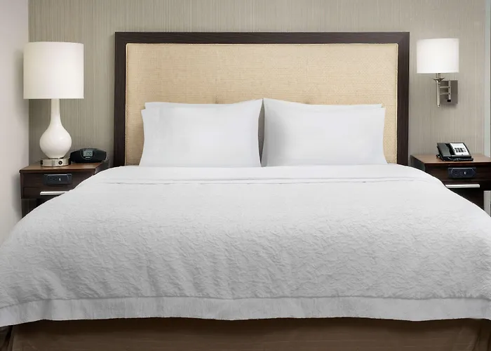 Hampton & Phoenix/tempe Hotel